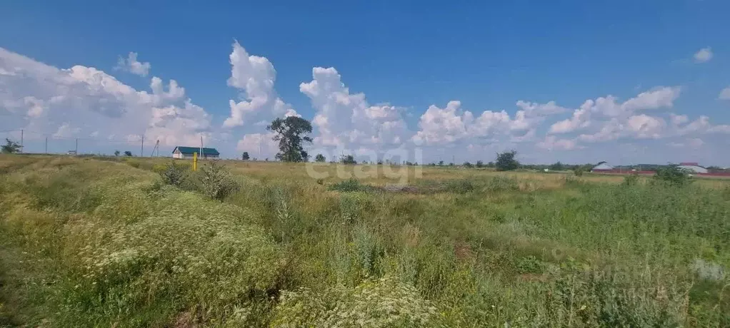 Участок в Воронежская область, Борисоглебский городской округ, с. ... - Фото 0