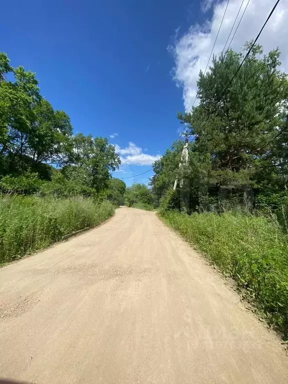 Участок в Амурская область, Благовещенский район, с. Чигири ул. ... - Фото 2