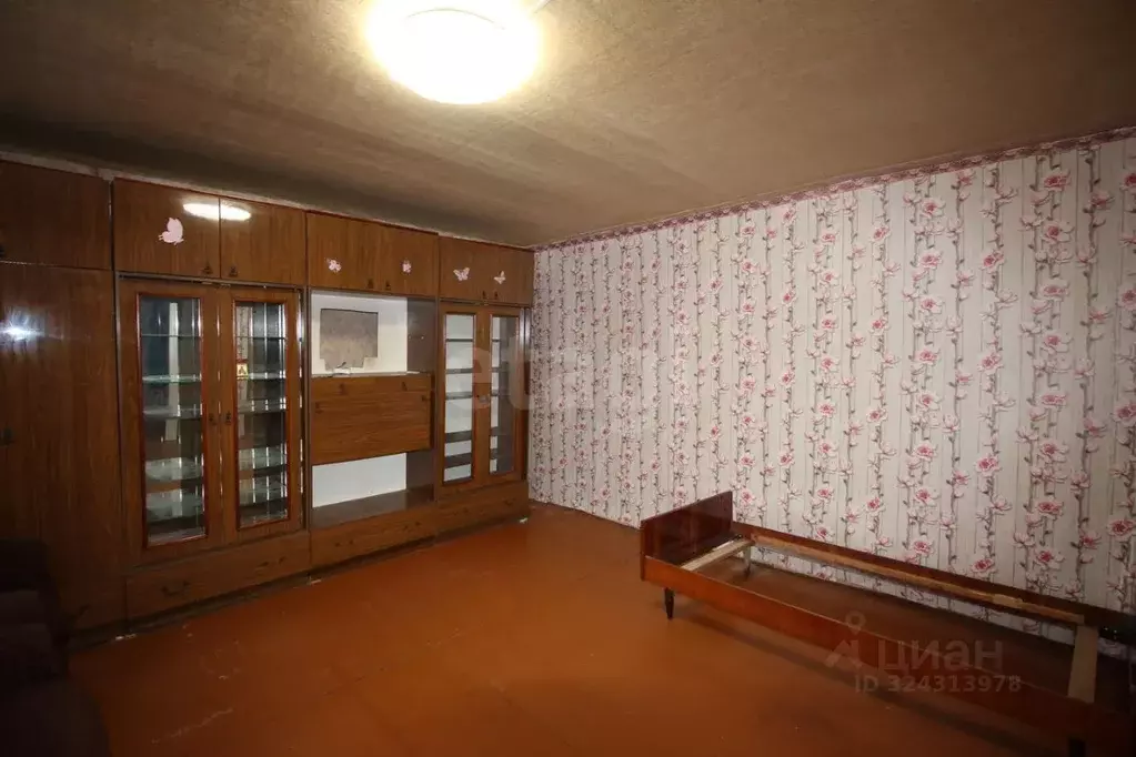 1-к кв. Вологодская область, Шексна рп, Шексна Южная мкр ул. ... - Фото 1