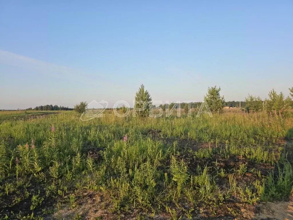 Участок в Тюменская область, Тюменский район, д. Елань 14 (8.18 сот.) - Фото 0