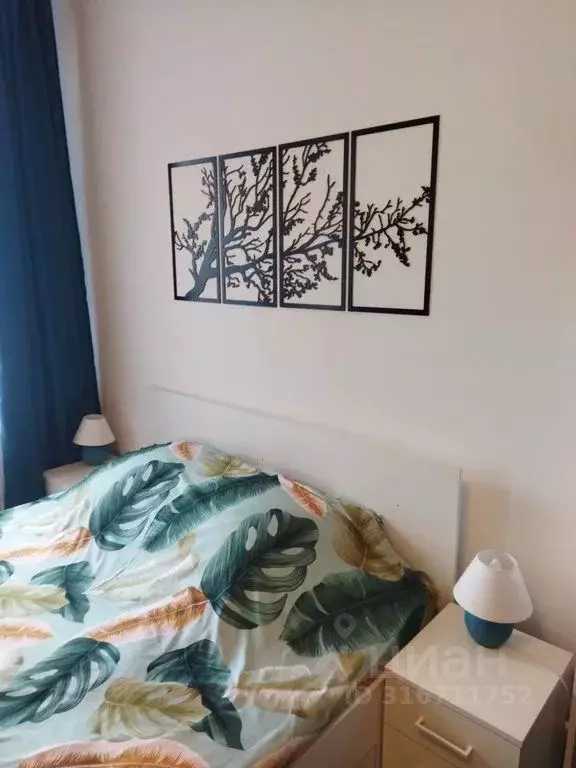 Студия Санкт-Петербург аллея Арцеуловская, 15 (26.0 м) - Фото 2