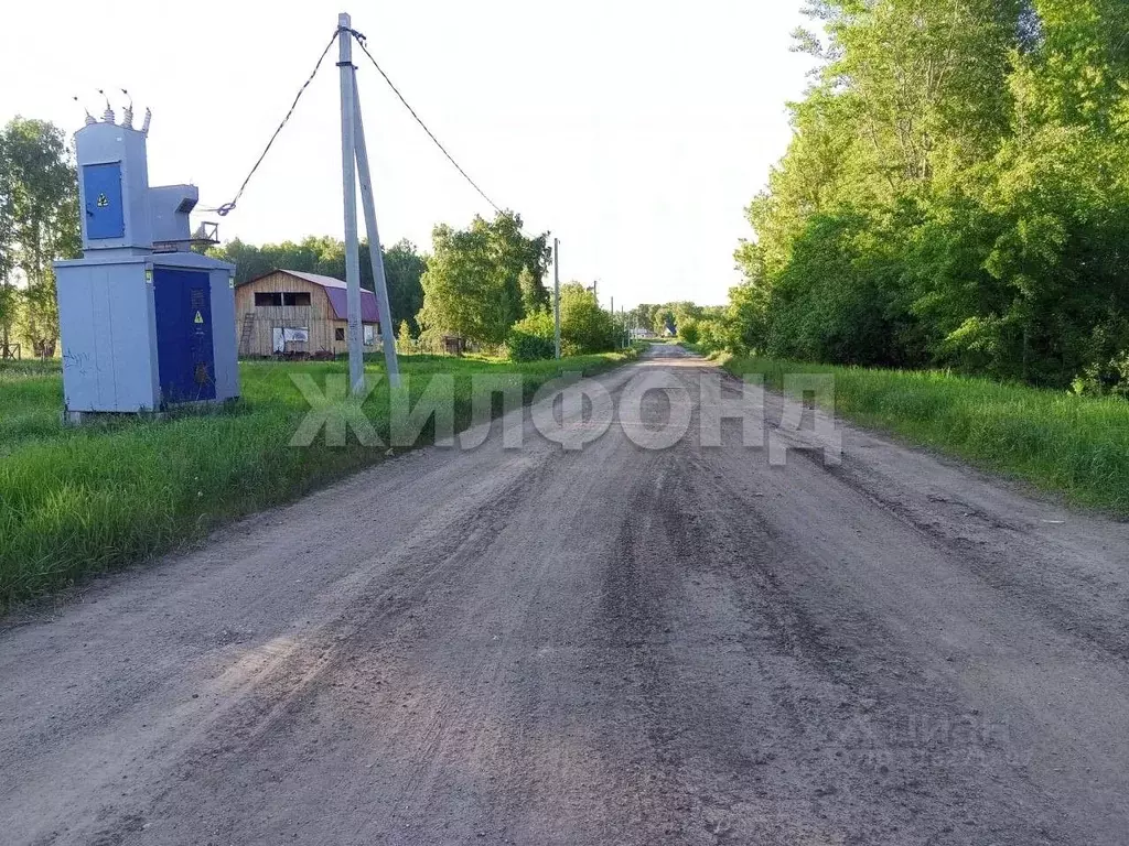 Участок в Новосибирская область, Новосибирский район, с. Ярково ... - Фото 1