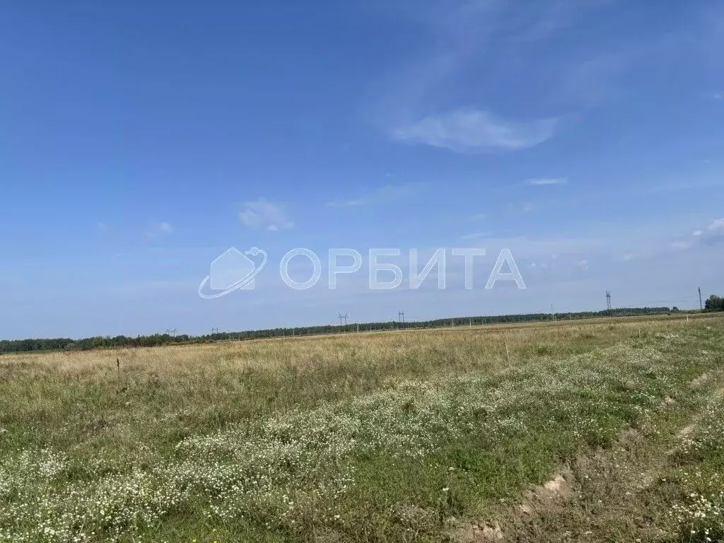 Участок в Тюменская область, Нижнетавдинский муниципальный округ, ... - Фото 1