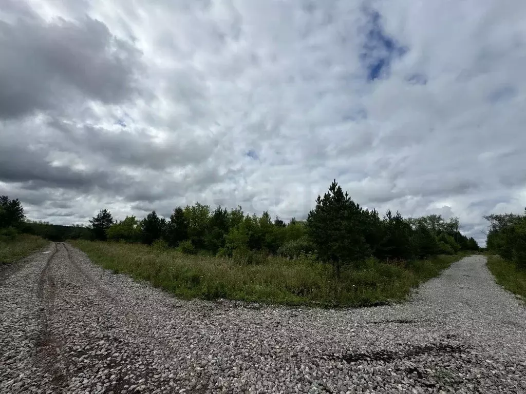 Участок в Свердловская область, Талица  (12.3 сот.) - Фото 1