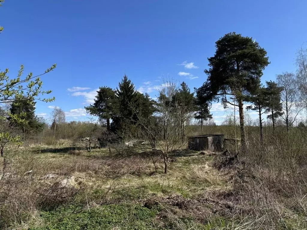Участок в Санкт-Петербург, Санкт-Петербург, Петергоф ул. Средняя, 14 ... - Фото 1