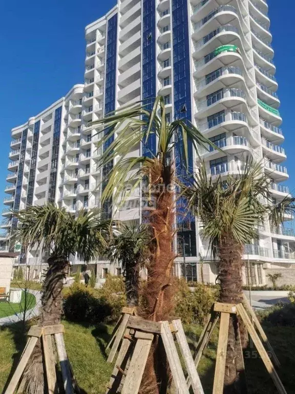 Комната Краснодарский край, Туапсинский муниципальный округ, с. ... - Фото 1