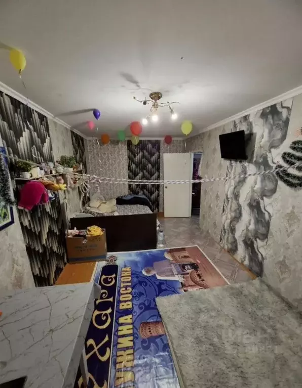 1-к кв. Московская область, Шатура муниципальный округ, с. Пышлицы 29 ... - Фото 2