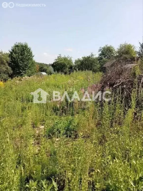 Участок в Нижний Новгород, СНТ Победа, 122 (5.4 м) - Фото 1