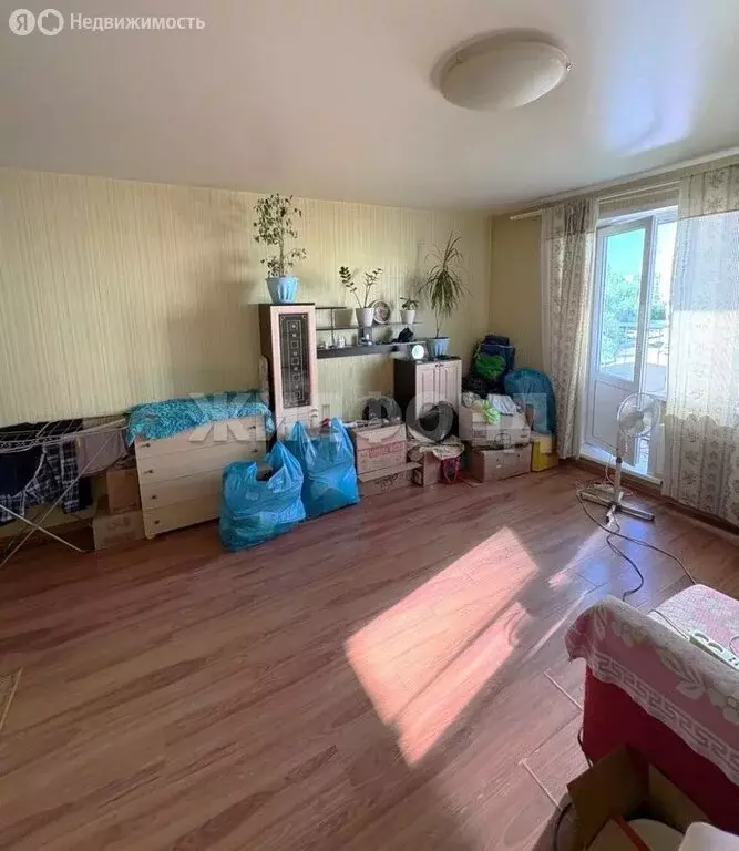 Квартира-студия: Новосибирск, улица Татьяны Снежиной, 31/1 (32.4 м) - Фото 1
