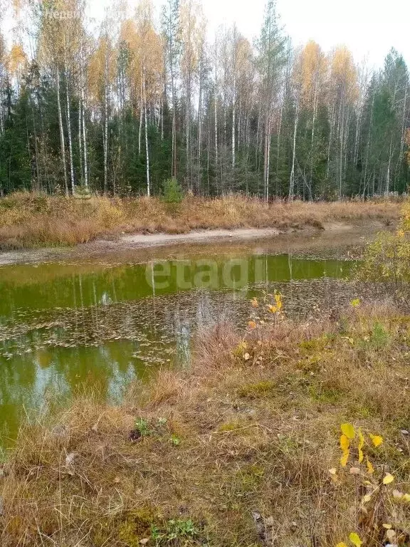 Участок в Республика Коми, муниципальный район Корткеросский, ... - Фото 1