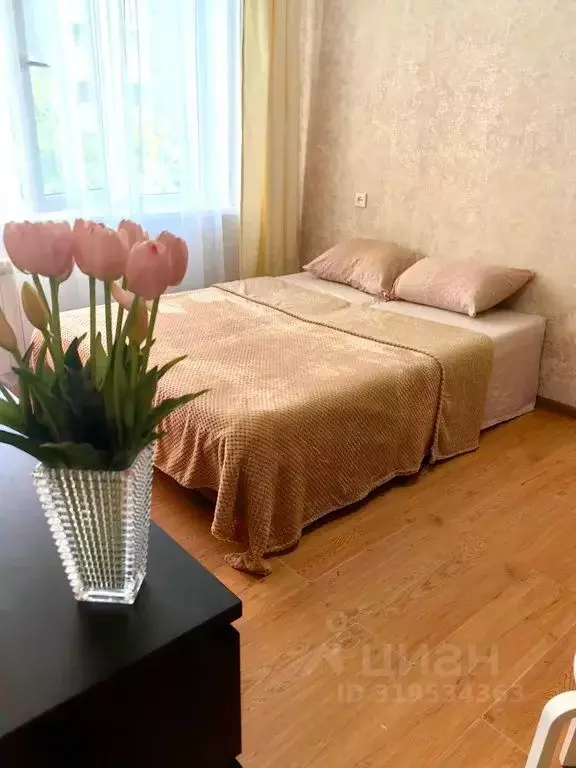 1-к кв. Приморский край, Владивосток Сахалинская ул., 34 (24.0 м) - Фото 1