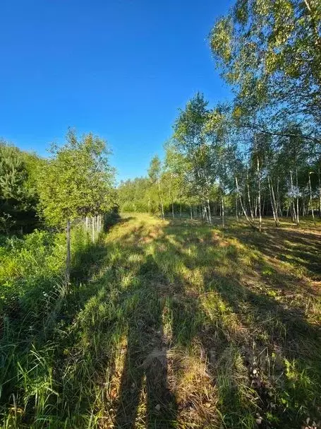 Участок в Московская область, Пушкино Клязьма мкр, Боткинская ул., 34 ... - Фото 1