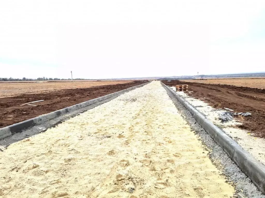 Участок в Волгоградская область, Городищенский район, Орловское с/пос, ... - Фото 2