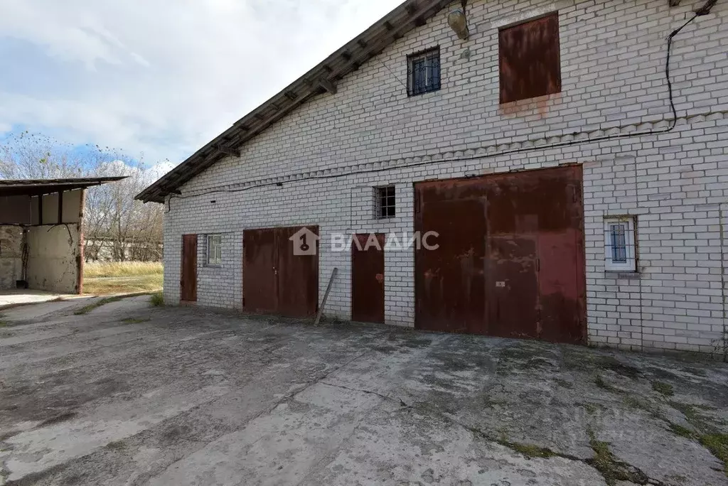 Производственное помещение в Воронежская область, Рамонь рп ул. ... - Фото 1