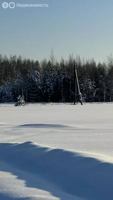 Участок в Загарское сельское поселение, деревня Моржаны (4948 м) - Фото 1