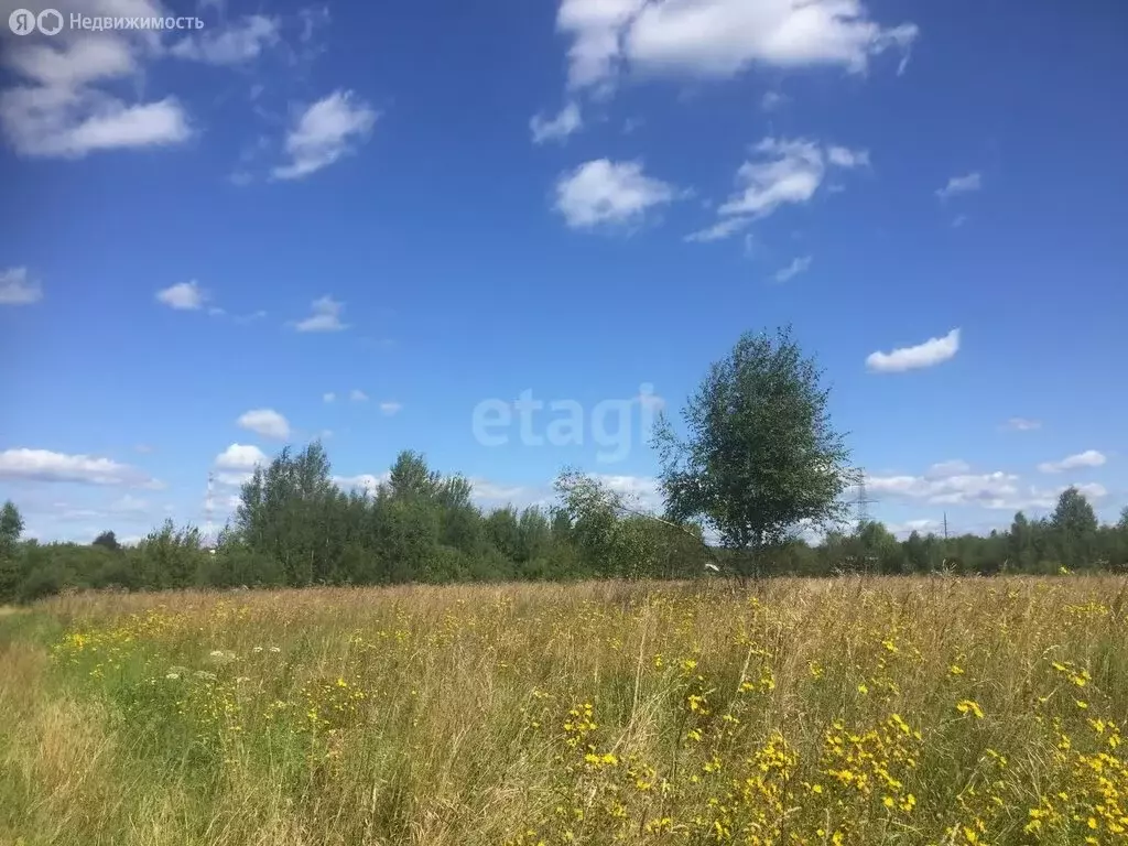 Участок в Пензенский район, Засечный сельсовет, село Засечное (13 м) - Фото 0