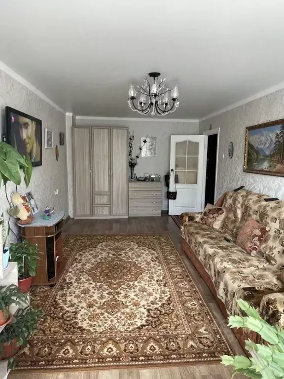 1-к кв. Брянская область, Брянск ул. Ульянова, 127 (33.0 м) - Фото 2