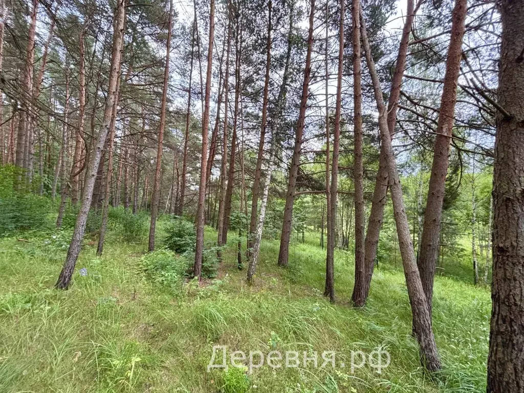 Участок в Калужская область, Дзержинский район, Угорское с/пос, ... - Фото 0