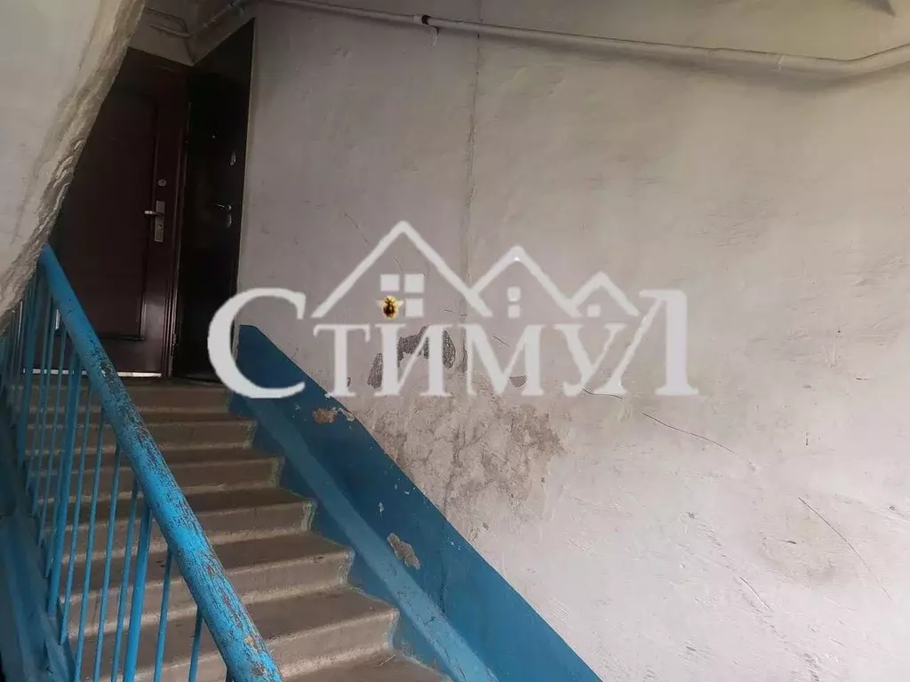 2-к кв. Хакасия, Сорск Усть-Абаканский район, ул. Кирова (47.1 м) - Фото 1