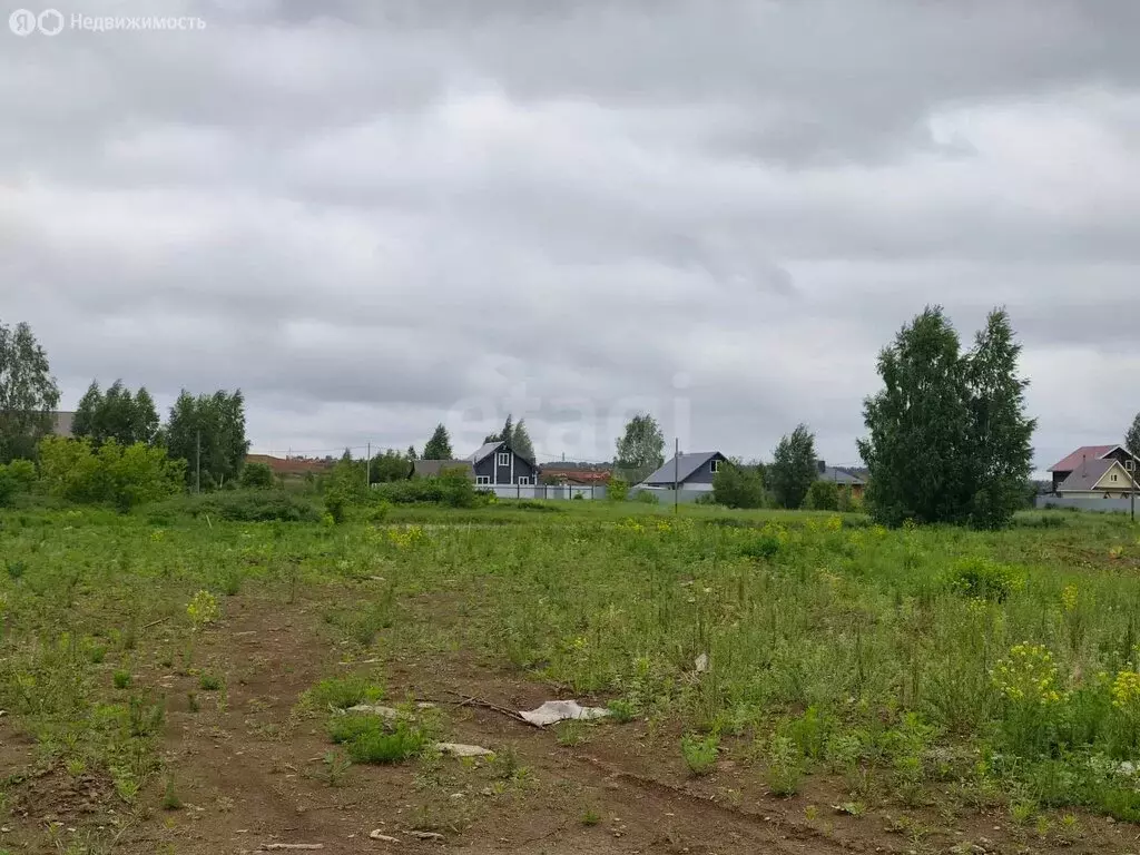 Участок в Большекачкинское сельское поселение, деревня Большая ... - Фото 2