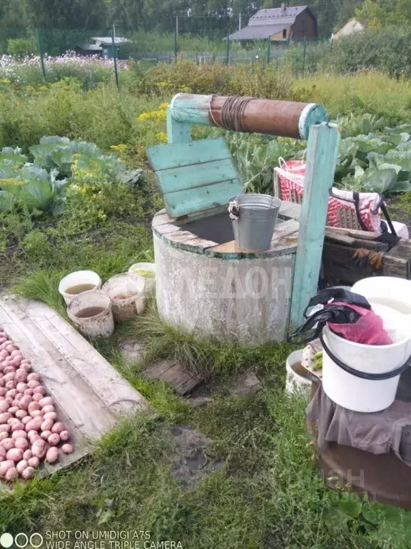 Участок в Омская область, Омский район, Пушкинское с/пос, д. Давыдовка ... - Фото 1