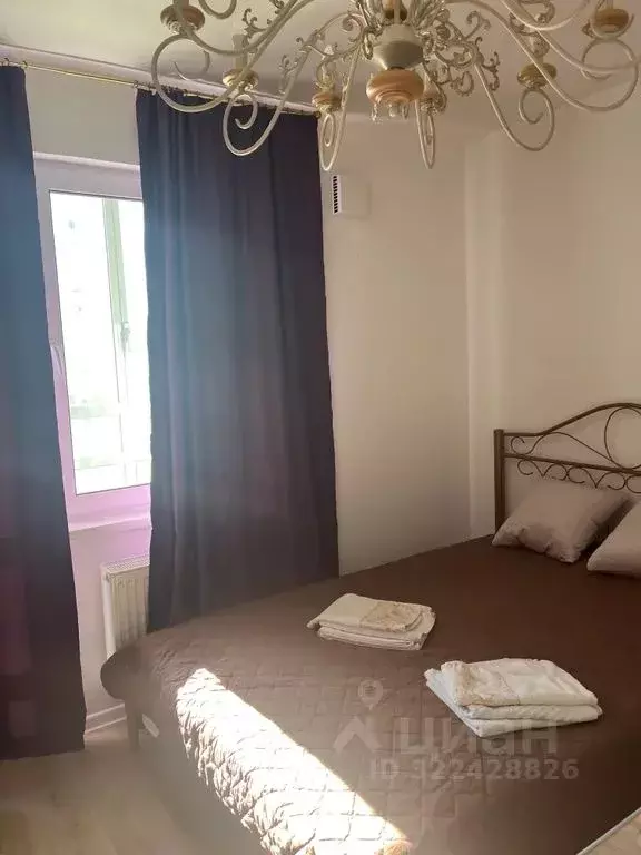 Студия Санкт-Петербург ул. Пахомовская, 23 (19.0 м) - Фото 2