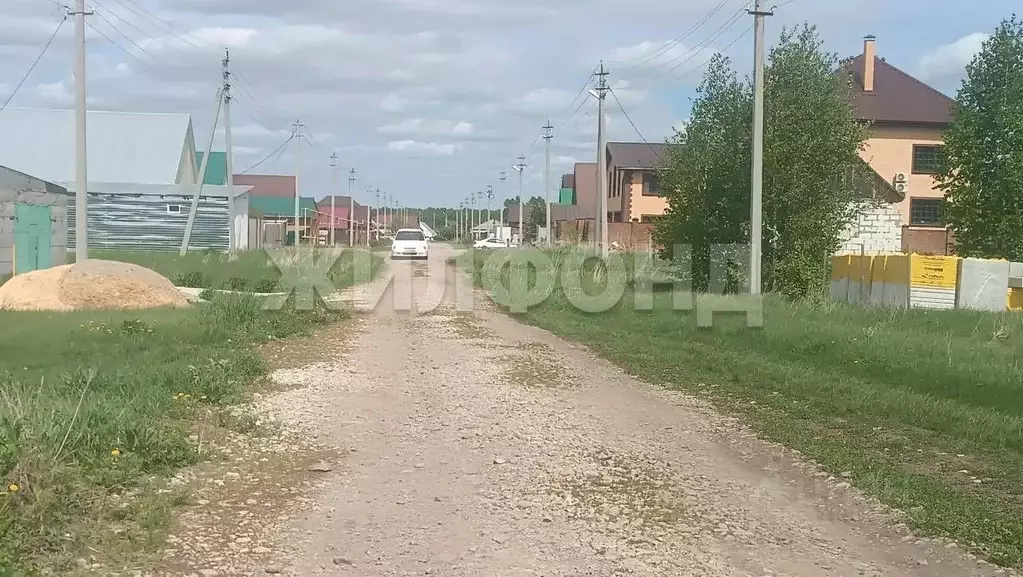 Участок в Новосибирская область, Колыванский район, с. Скала ул. 40 ... - Фото 1
