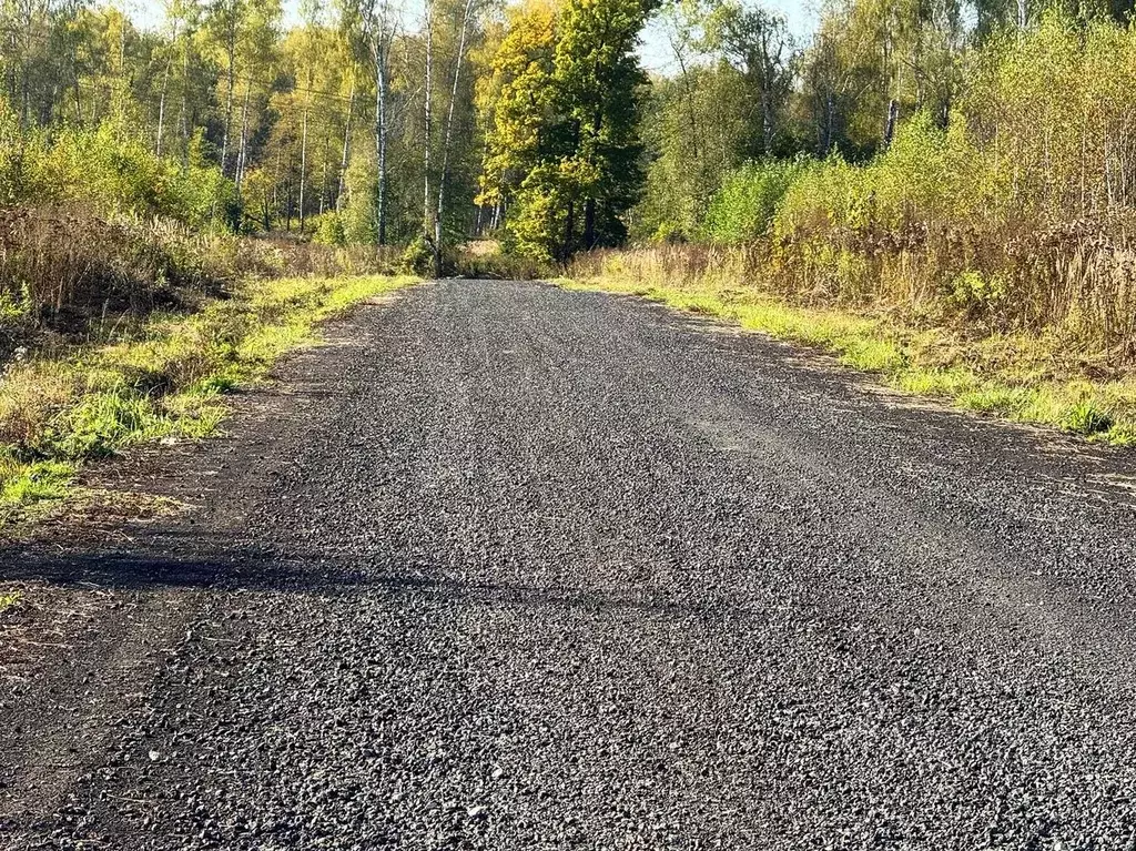 Участок в Московская область, Раменский муниципальный округ, Оттепель ... - Фото 2