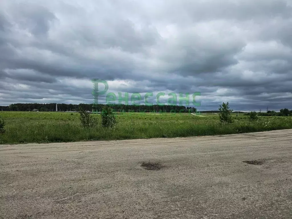 Участок в Брянская область, Брянский район, Новодарковичское с/пос, д. ... - Фото 0