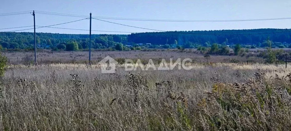 Участок в Владимирская область, Суздальский район, Павловское ... - Фото 0