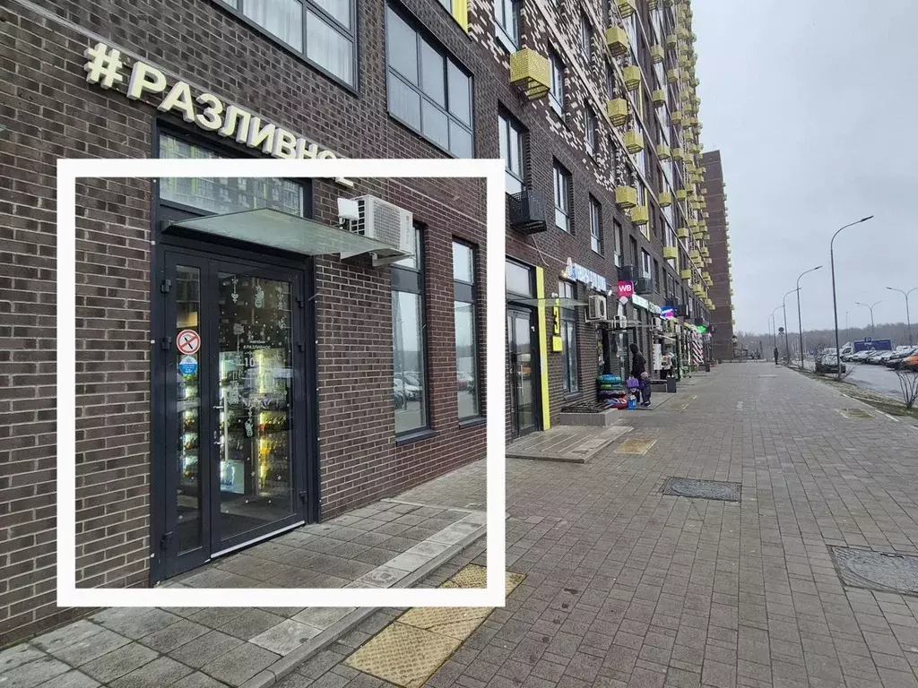 Помещение свободного назначения в Московская область, Ленинский ... - Фото 1