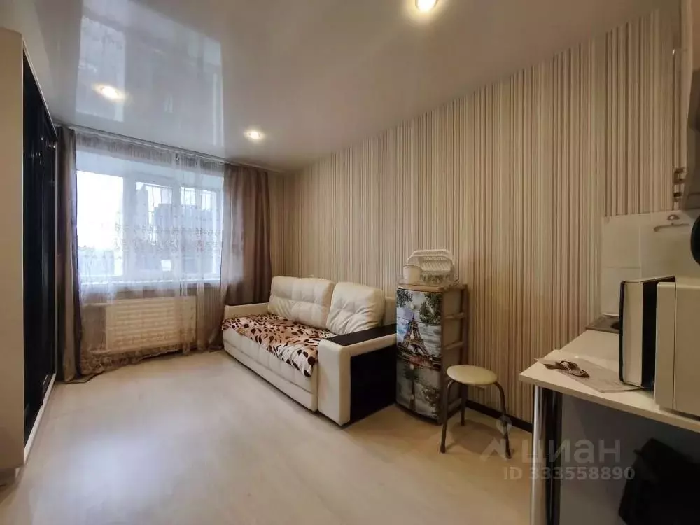 Студия Пермский край, Пермь Подлесная ул., 17 (17.2 м) - Фото 2