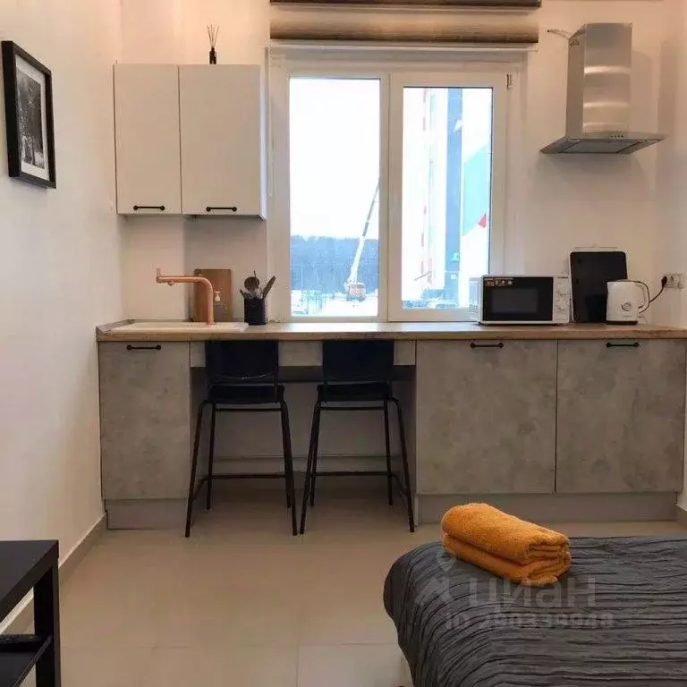 1-к кв. Воронежская область, с. Новая Усмань ул. Серебряный Век, 2 ... - Фото 1