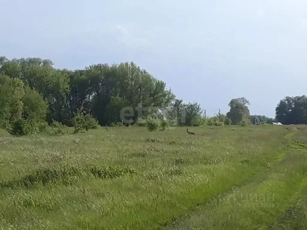 Участок в Курская область, Курск ул. Тургенева, 53 (10.0 сот.) - Фото 1