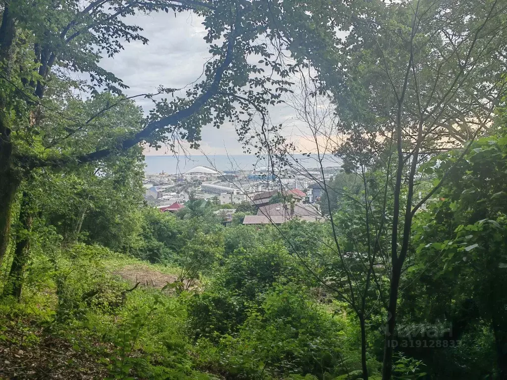 Участок в Краснодарский край, Сочи городской округ, с. Верхневеселое ... - Фото 0
