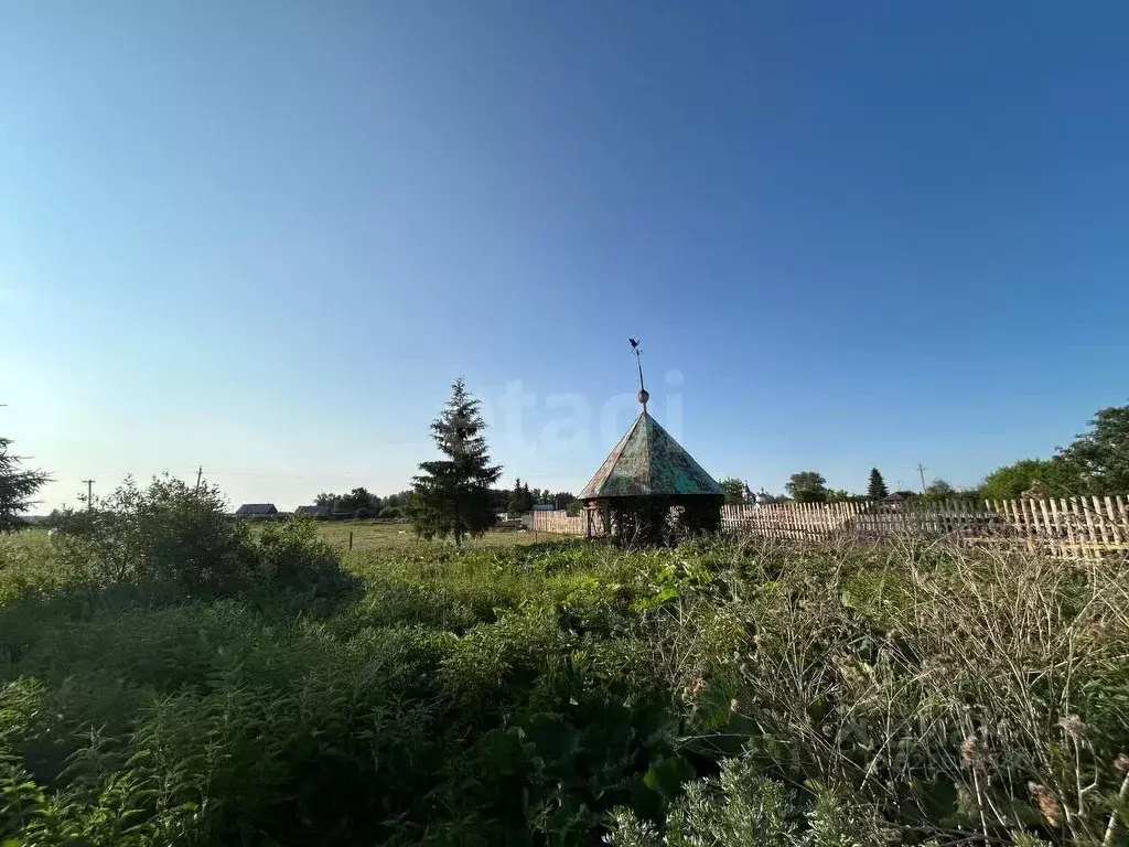 Участок в Курганская область, Белозерский муниципальный округ, с. ... - Фото 1