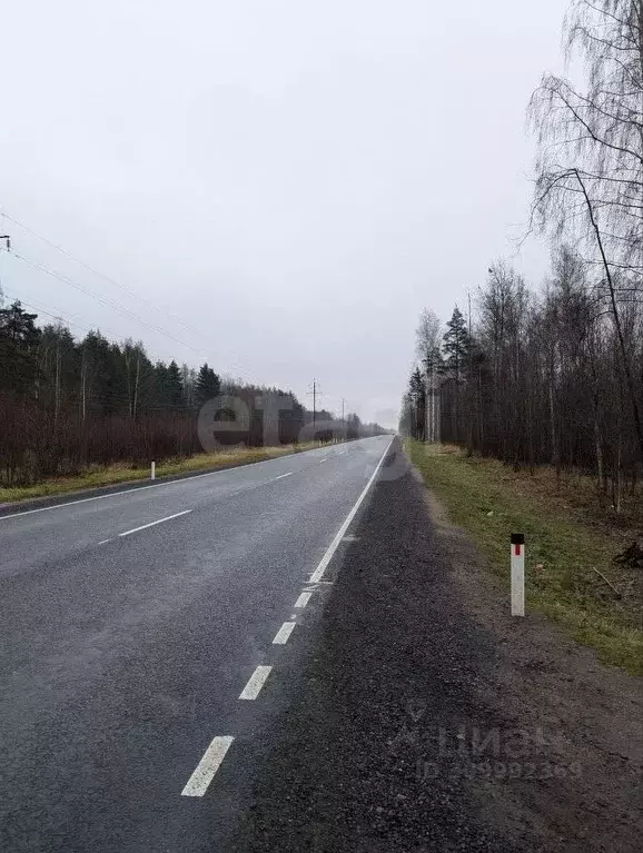 Участок в Ленинградская область, Всеволожский район, Рахьинское ... - Фото 1