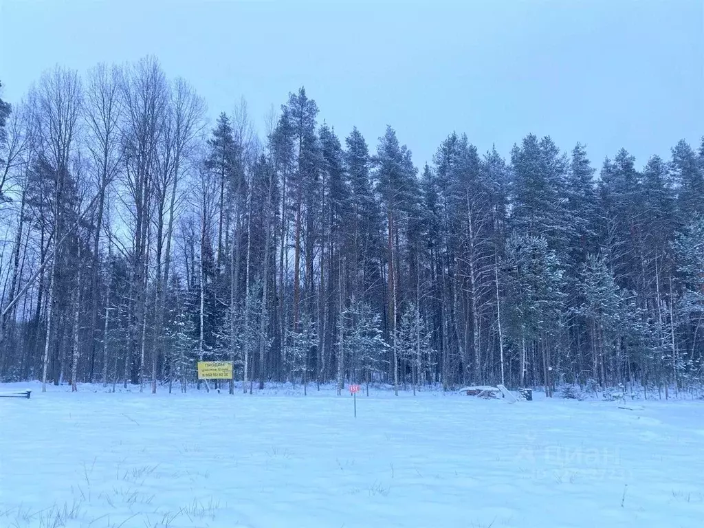 Участок в Ленинградская область, Выборгский район, Полянское с/пос, ... - Фото 1