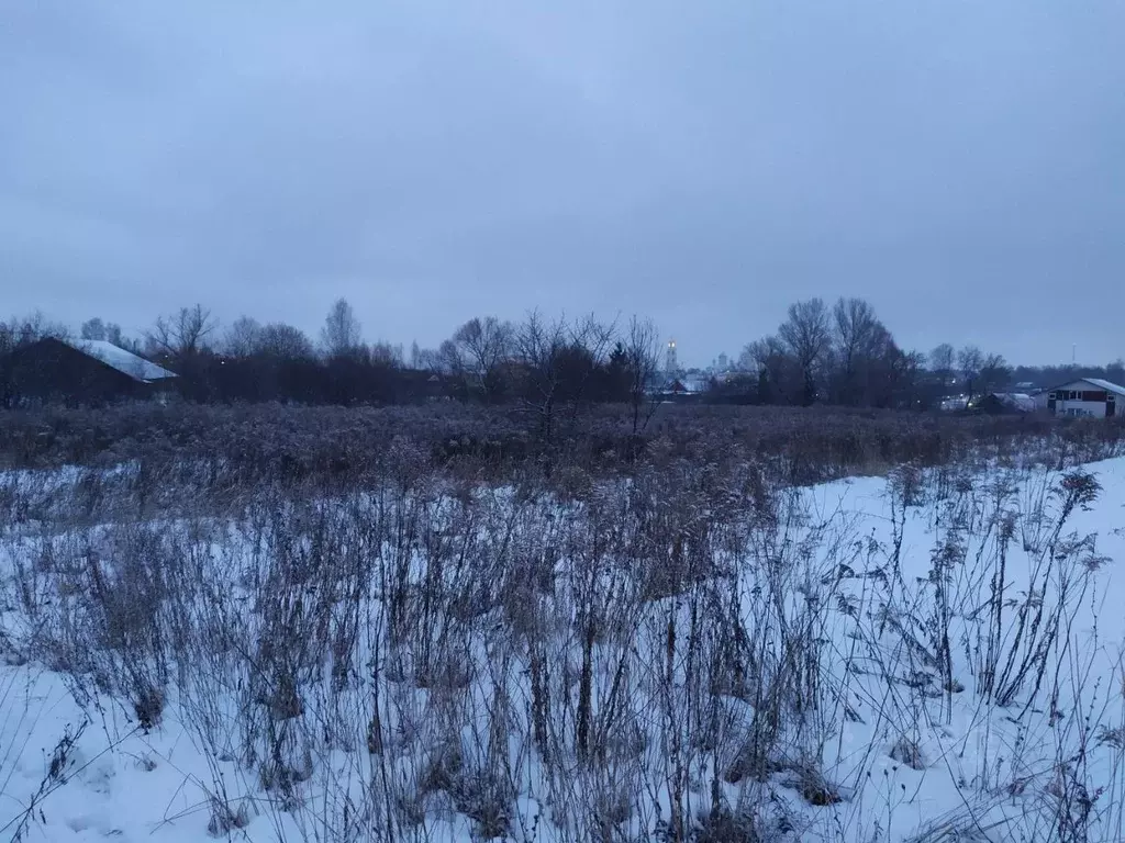 Участок в Нижегородская область, с. Дивеево ул. Лермонтова (11.0 сот.) - Фото 0