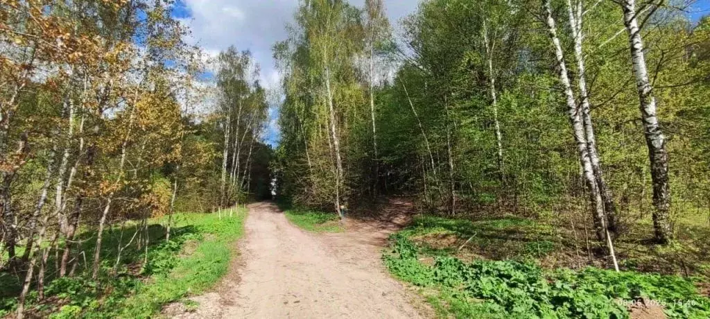 Участок в Тульская область, Тула городской округ, д. Федоровка  (15.0 ... - Фото 1