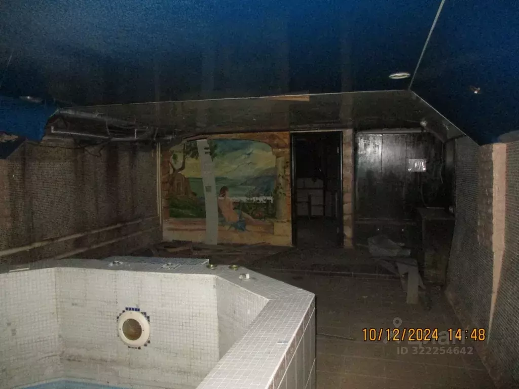 Помещение свободного назначения в Новосибирская область, Новосибирск ... - Фото 1