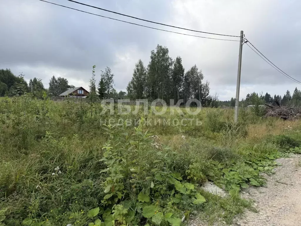 Участок в Пермский край, Березники ул. Монетная, 8 (14.0 сот.) - Фото 1