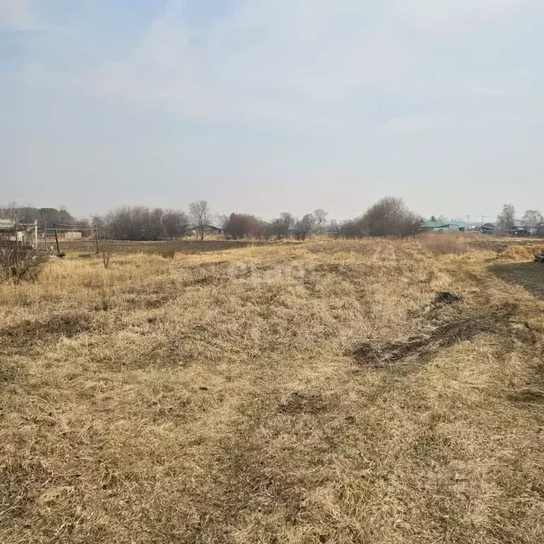 Участок в Амурская область, с. Ивановка ул. Ленина (20.0 сот.) - Фото 0