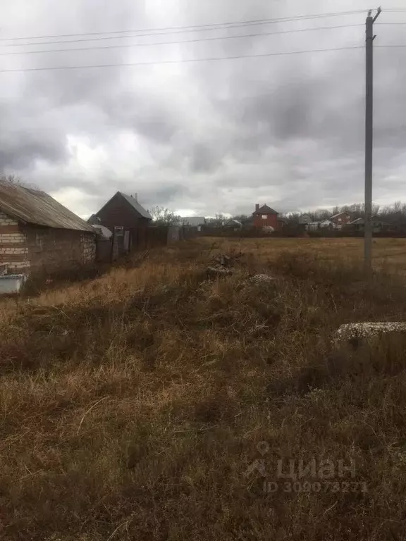 Участок в Самарская область, Кинель-Черкассы с/пос, с. Тоузаково ул. ... - Фото 0