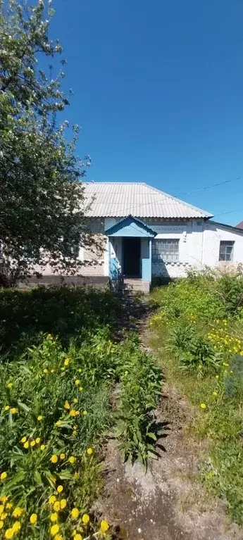 Дом в Липецкая область, Липецкий муниципальный округ, с. Ильино ул. ... - Фото 0