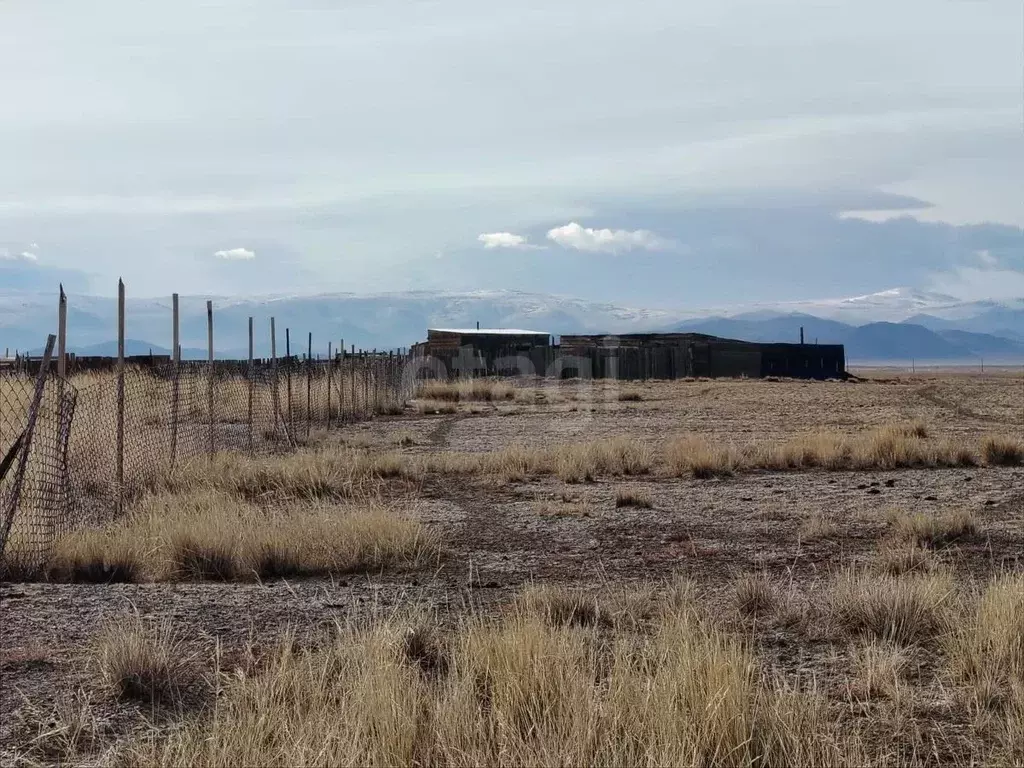 Участок в Алтай, с. Кош-Агач  (4210.0 сот.) - Фото 1