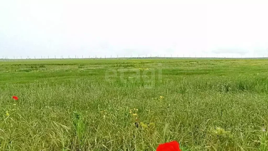 Участок в Крым, Феодосия муниципальный округ, Приморский пгт ул. ... - Фото 0