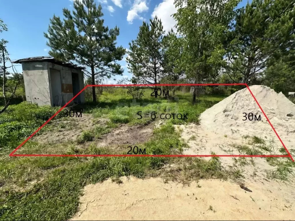 Участок в Брянская область, Брянский район, Нетьинское с/пос, Весна ... - Фото 2