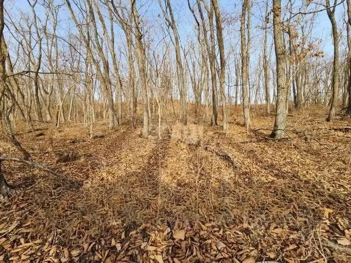 Участок в Приморский край, Владивостокский городской округ, с. ... - Фото 0