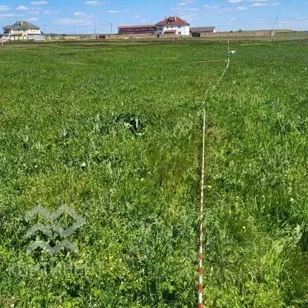 Участок в Крым, Черноморский район, Медведевское с/пос, с. Медведево ... - Фото 1
